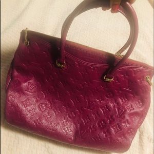 Louis Vuitton grape bag